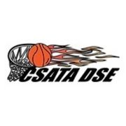 csata dse logo 180x180